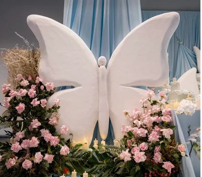 Butterfly Concept